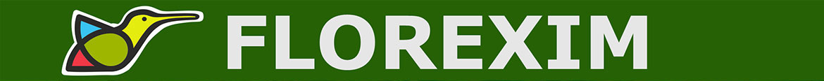 Florexim logo